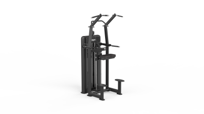 Machine à Tractions et Dips Assistés – Polyvalente Haut du Corps