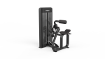 Back Extension– Lombaires