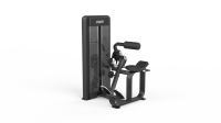 Back Extension– Lombaires
